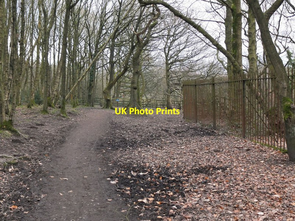 Photo 6"x4" Path in the woodland near the Castle, Rivington Horwich c2013