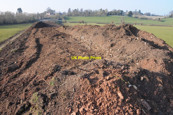 Photo 6"x4" View along a disused railway embankment  Tewkesbury c2013