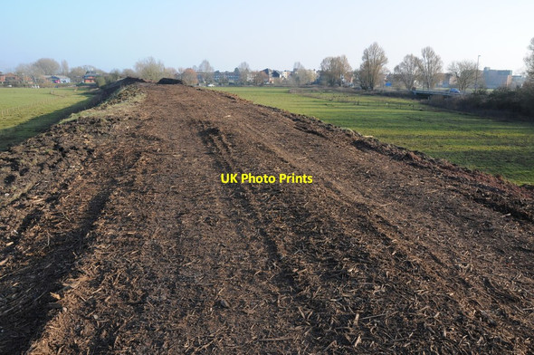 Photo 6"x4" On a disused railway embankment Tewkesbury c2013