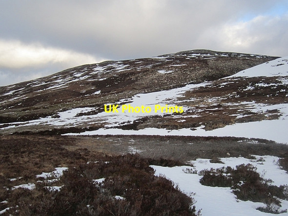 Photo 6"x4" Moorland, Balmoral Forest Garbh Allt Shiel c2013