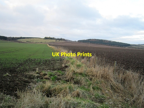 Photo 6"x4" Arable land, Montquhanie Fincraigs c2013