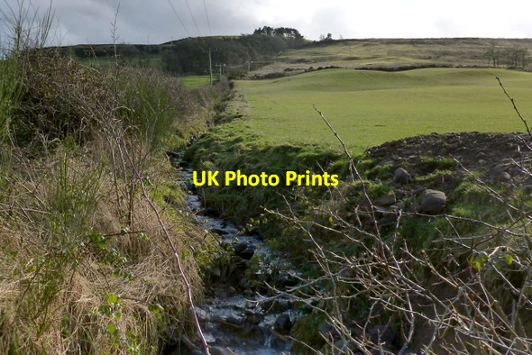 Photo 6"x4" Tributary of the Carrochan Burn Alexandria c2013