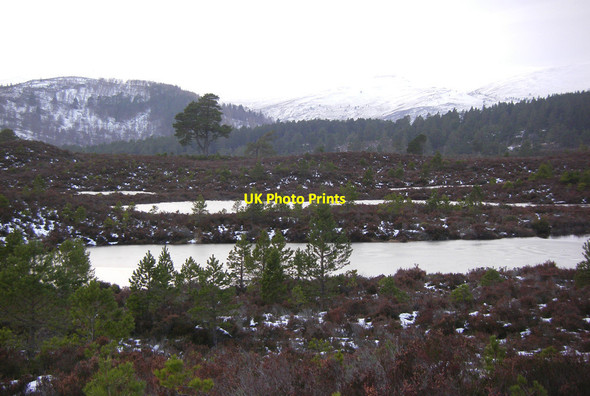 Photo 6"x4" Unnamed lochan just off Gleann Eanaich path Coylumbridge c2013