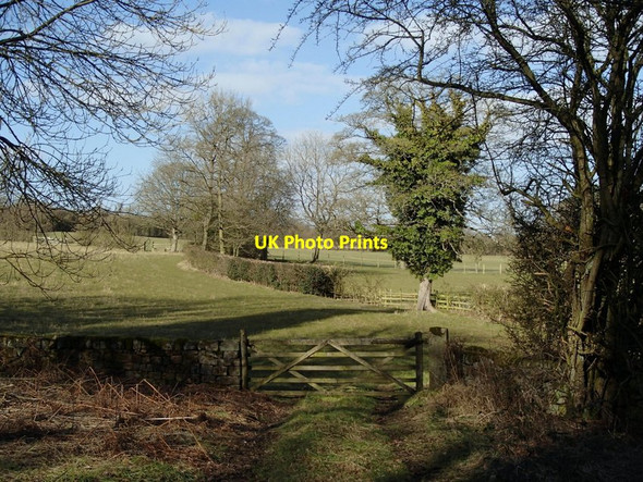 Photo 6"x4" Field by Littlemoor Lane Matlock c2013