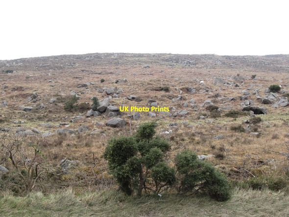 Photo 6"x4" The eastern slopes of Leckan More Rostrevor c2013