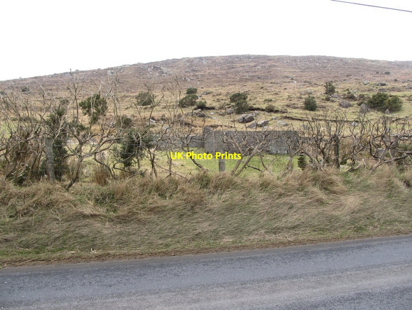 Photo 6"x4" A sheep fold opposite the Holy Cross Monastery Rostrevor c2013
