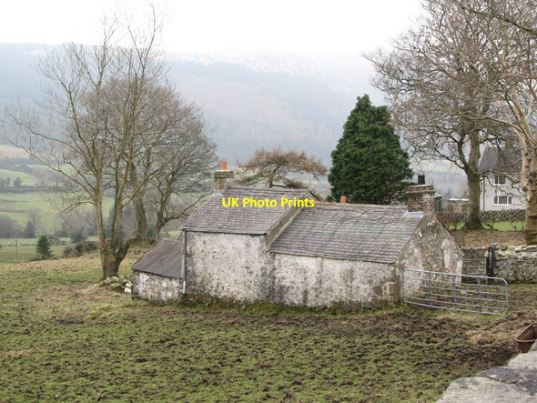 Photo 6"x4" Abandoned homestead north of Kilbroney Rostrevor c2013