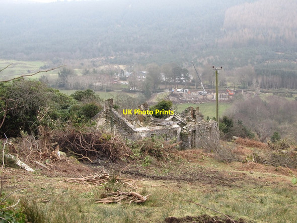 Photo 6"x4" Land reclamation around a ruined cottage east of the B25 Rostrevor c2013