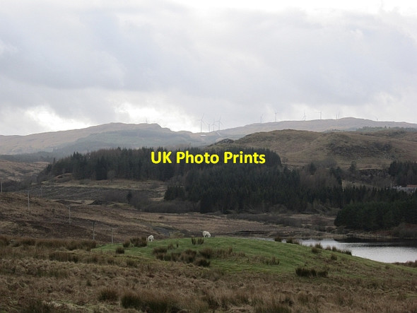 Photo 6"x4" Grassland above Loch Tromlee Ballimore\/NN0525 c2013