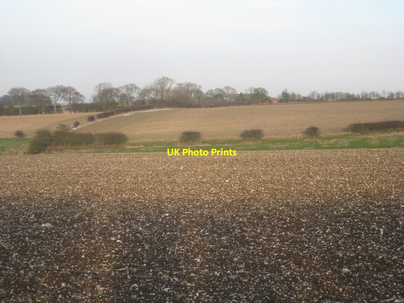 Photo 6"x4" View towards Monckton Walk High Hunsley c2013