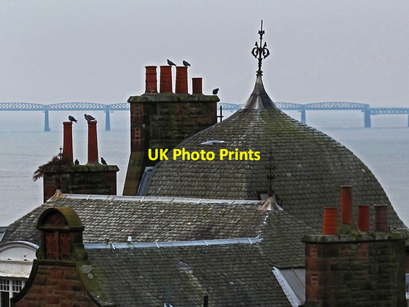 Photo 6"x4" Rooftops by the Tay Newport-on-Tay c2013