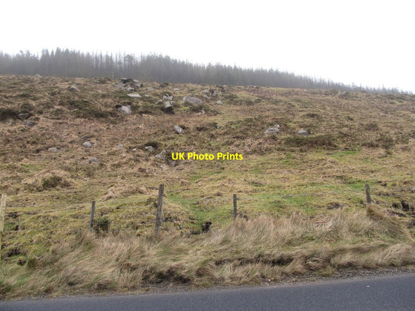 Photo 6"x4" Forest on Crotleive Mountain Hilltown\/J2128 c2013