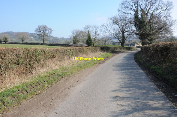 Photo 6"x4" Road into Harescombe Harescombe c2013