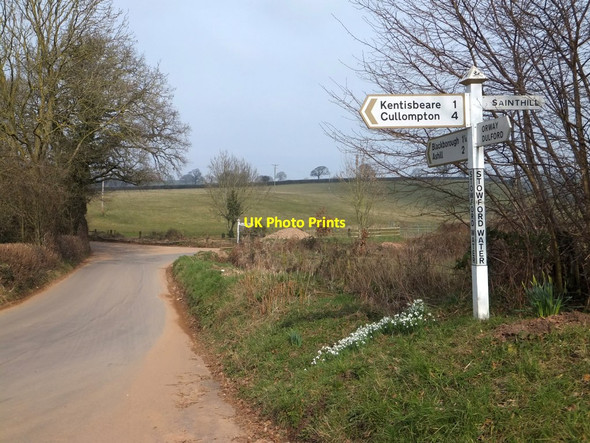 Photo 6"x4" Snowdrops and signposts at Stoford Water Hollis Green c2013