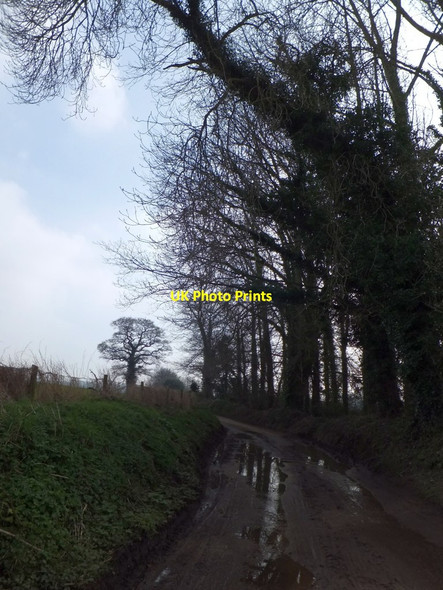 Photo 6"x4" Mud and flood north of Kerswell Dulford c2013