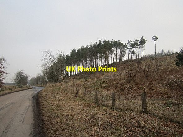 Photo 6"x4" New Lodge Wood Lodge Wood\/NT7358 c2013