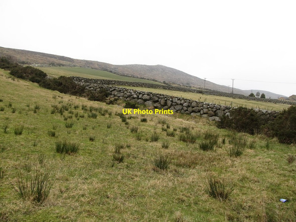 Photo 6"x4" Grazing land between the B25 and the open mountain Rostrevor c2013