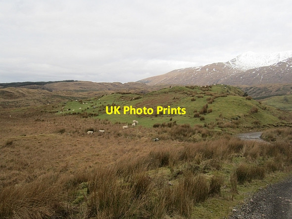Photo 6"x4" Bealach a' Bharain Ballimore\/NN0525 c2013