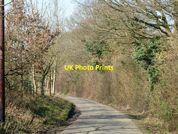 Photo 6"x4" Church Lane, Little Leighs Church End\/TL7316 c2013