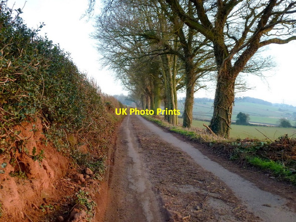 Photo 6"x4" Cut-throat Lane Aston Crews c2013