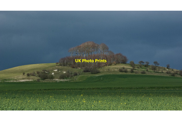 Photo 6"x4" Woodborough Hill Alton Priors c2012