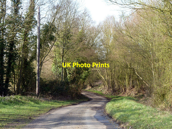 Photo 6"x4" A lane with no name? Little Leighs c2013