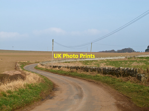 Photo 6"x4" Minor road near Kirkton Barns Tayport c2013