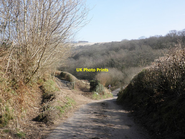 Photo 6"x4" Minor road to Molland Twitchen\/SS7830 c2013