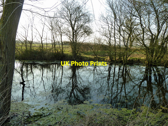 Photo 6"x4" Field corner pond Faulkbourne c2013