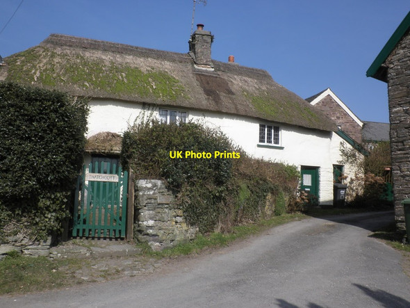 Photo 6"x4" Thatched cottage, Molland Champson c2013