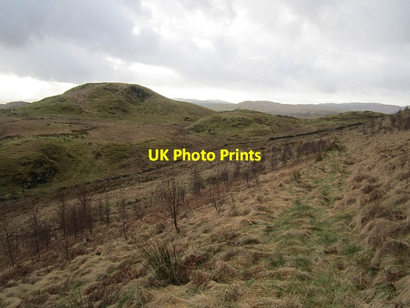 Photo 6"x4" Path to Ballimore Ballimore\/NN0525 c2013