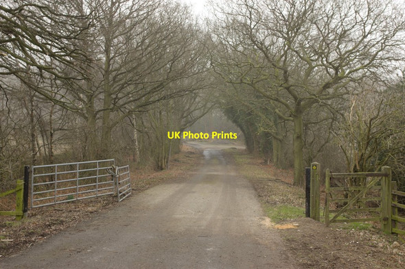 Photo 6"x4" Track to Oakwood Farm Spacey Houses c2013