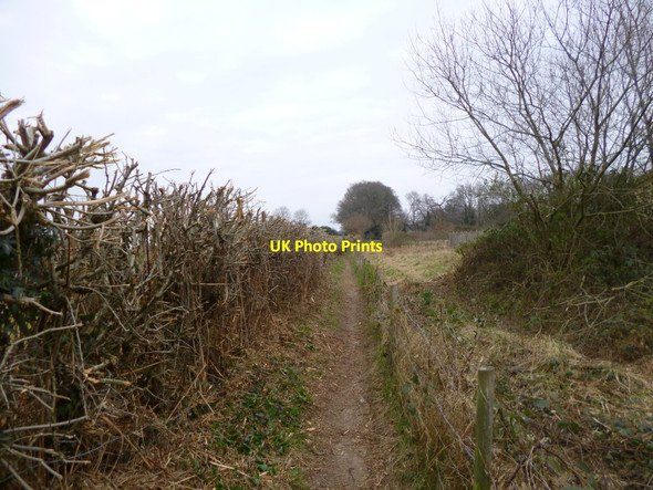 Photo 6"x4" Alderholt, footpath Fordingbridge c2013