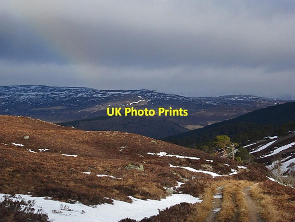 Photo 6"x4" Track along the Feindallacher Burn Garbh Allt Shiel c2013