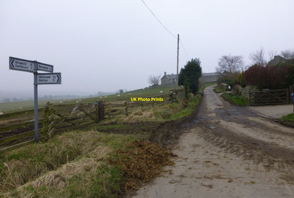Photo 6"x4" Looking up to Demesne Edlingham c2013