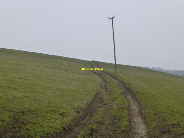 Photo 6"x4" Bridleway heading to Overthwarts Edlingham c2013