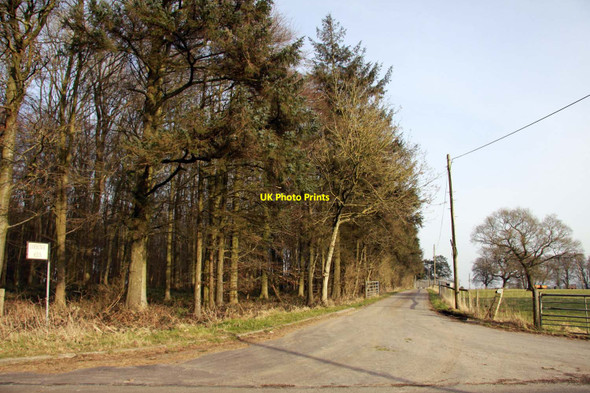 Photo 6"x4" Road to Lockinge Kiln Farm Farnborough\/SU4381 c2013