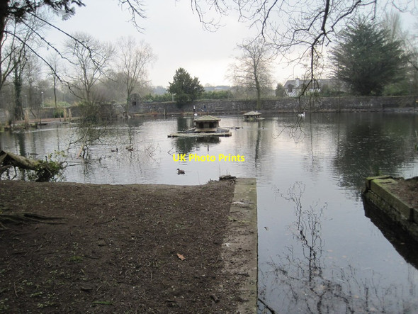 Photo 6"x4" The Duck Pond, Kilkenny Castle grounds Kilkenny\/S5156 c2013