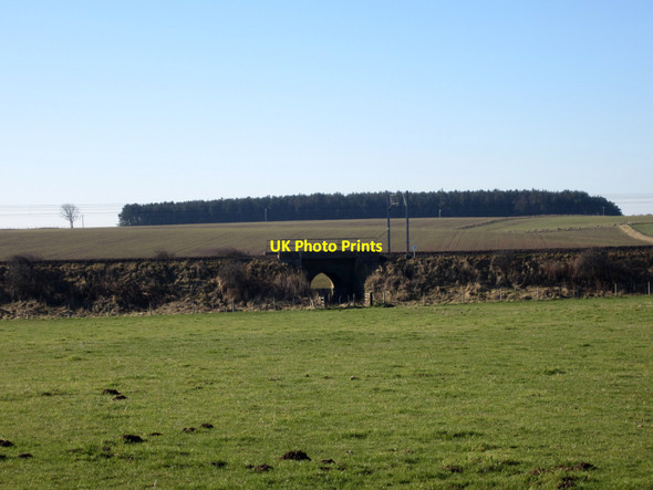 Photo 6"x4" Field access under the East Coast Mainline Cheswick c2013