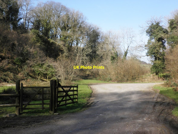 Photo 6"x4" Access road, Beere Wood Bottreaux Mill c2013