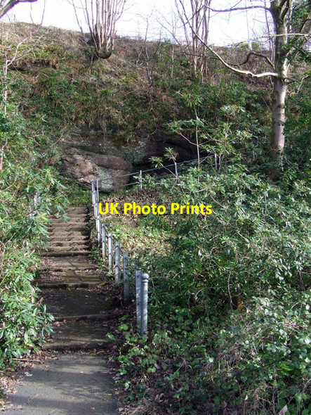 Photo 6"x4" Steps to Long Hill Skelmorlie c2013