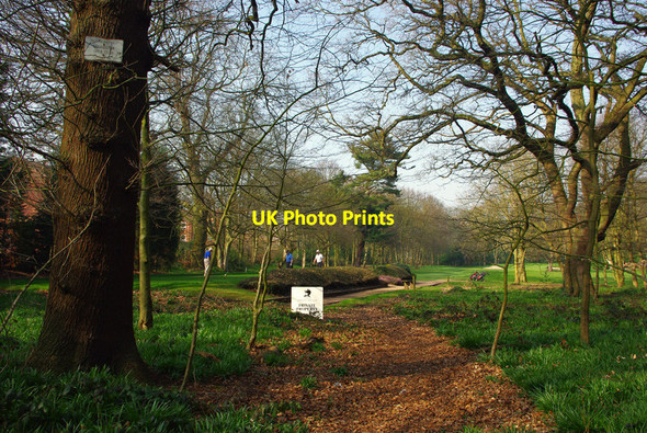Photo 6"x4" End of the path through Edgbaston Pool Nature Reserve Edgbaston c2012