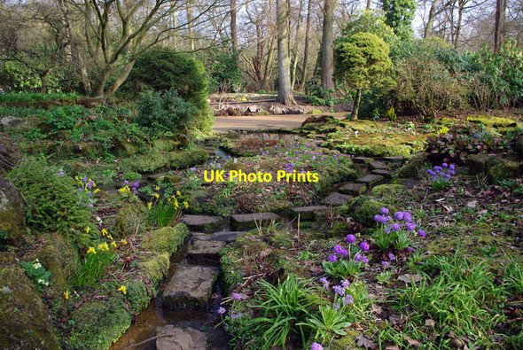 Photo 6"x4" The sandstone rock garden at Winterbourne Edgbaston c2012