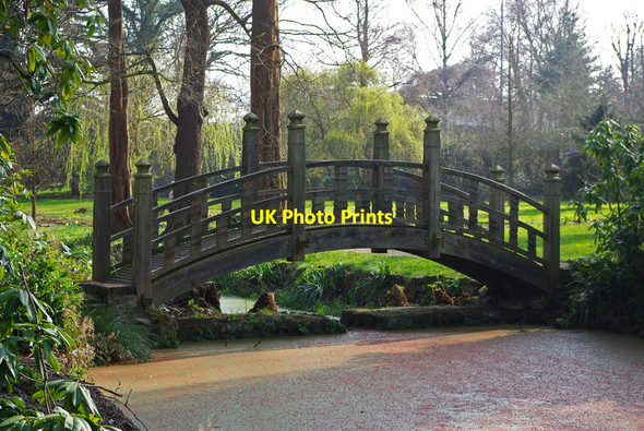 Photo 6"x4" Japanese bridge at Winterbourne Edgbaston c2012