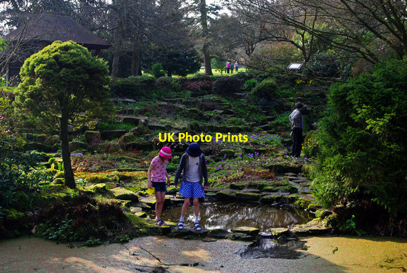 Photo 6"x4" The sandstone rock garden at Winterbourne Edgbaston c2012