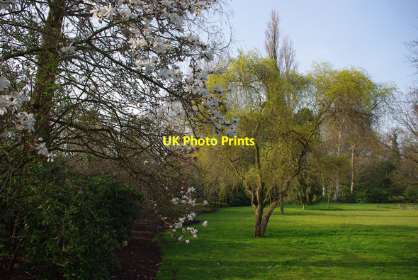 Photo 6"x4" In the gardens at Winterbourne Edgbaston c2012