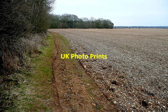 Photo 6"x4" Footpath alongside King's Wood Stonesfield c2013