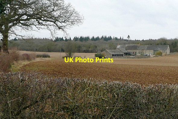 Photo 6"x4" Limbeck Farm Woodleys\/SP4219 c2013