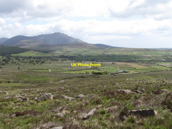 Photo 6"x4" View downslope towards the Red Moss River Attical c2011