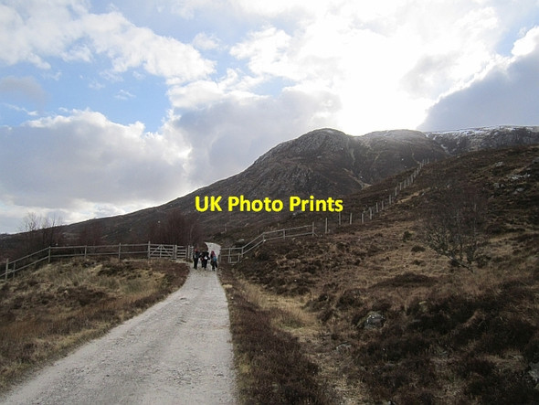 Photo 6"x4" Gate and cattle grid, Glen Affric Loch Coulavie c2013